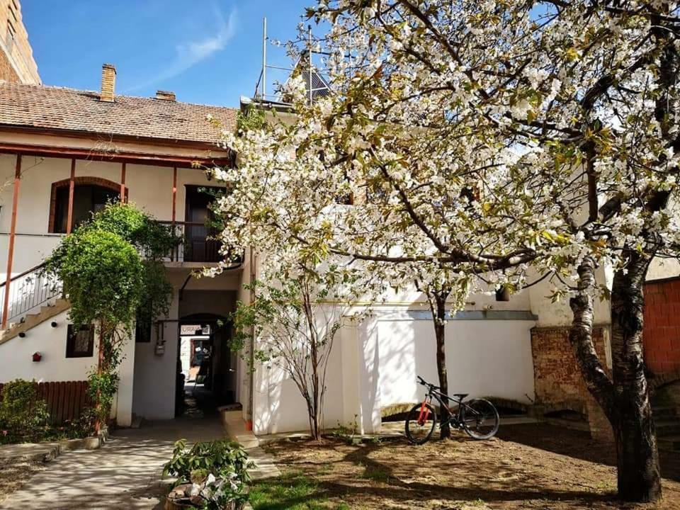 Casa Miron 1 Apartment Timisoara Exterior photo